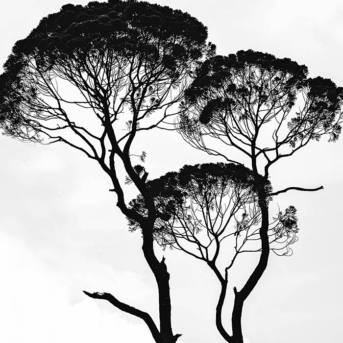portfolio image 4