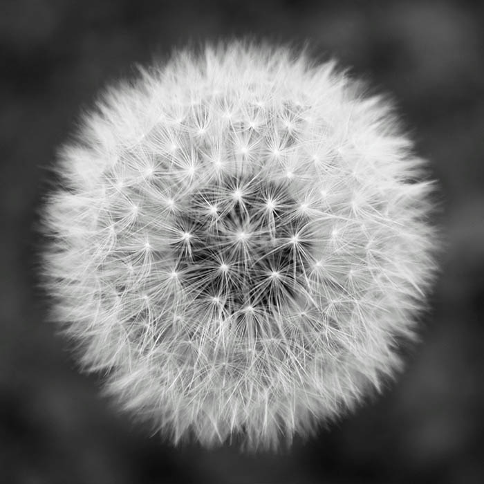 portfolio image 7